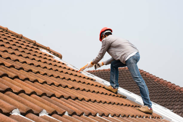 Best Roof Insulation Installation  in Colonial Pine Hills, SD